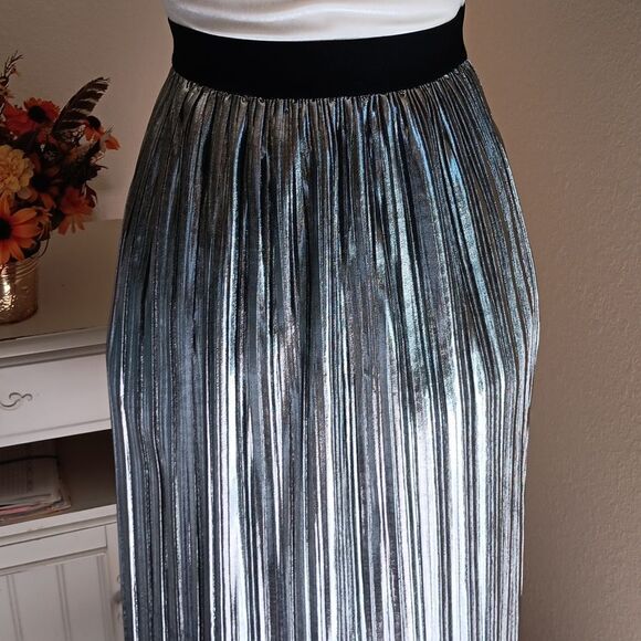 Project Runway Sivery Knife Pleated Skirt - Picture 3 of 9